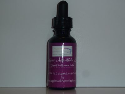 Echinacea Augustifolia Extract
